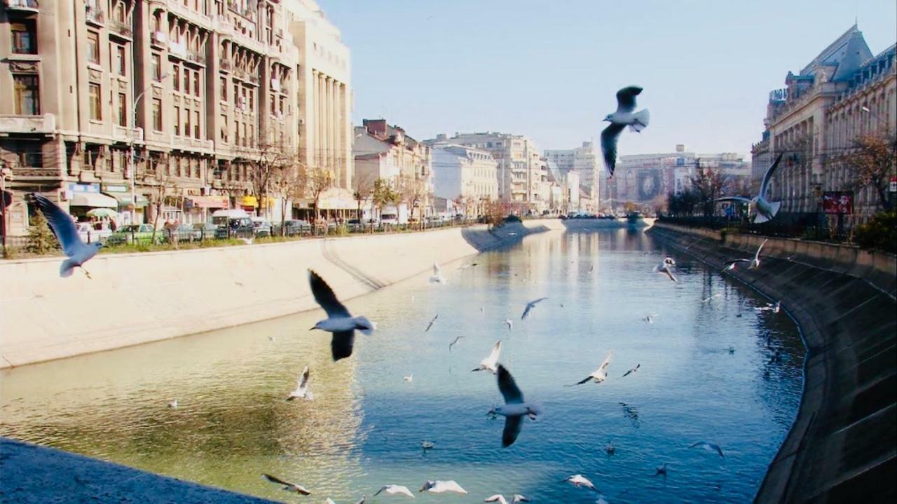 Eric Apartment 100 Bucharest Luaran gambar
